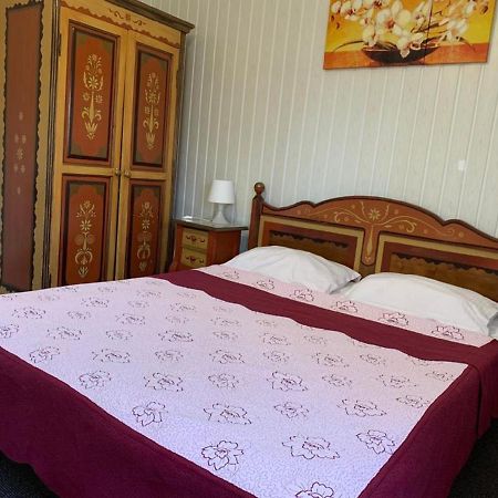 Hotel Casa Romaneasca 오토페니 외부 사진