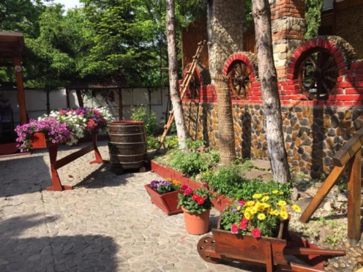 Hotel Casa Romaneasca 오토페니 외부 사진